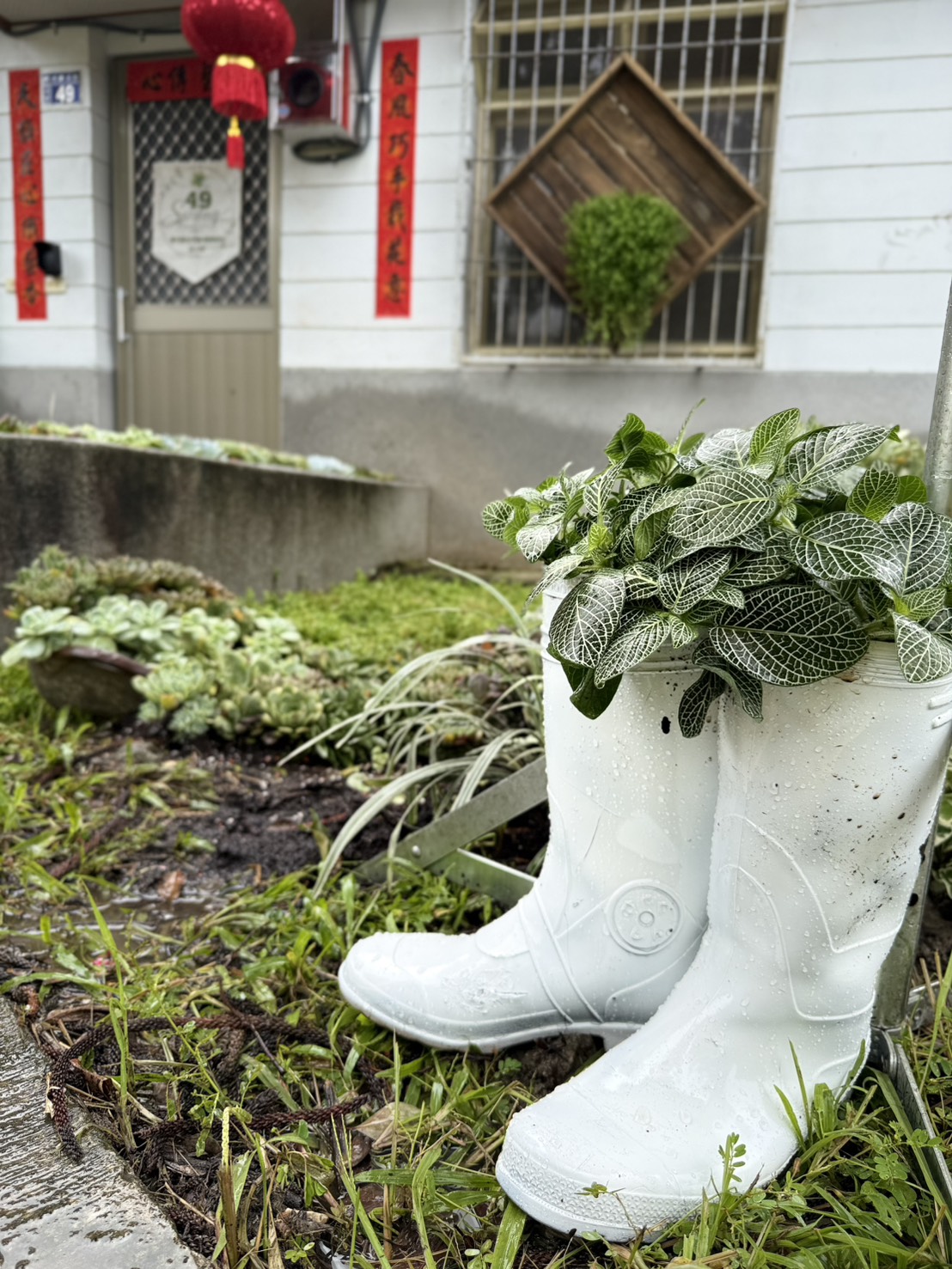舊雨鞋拿來種花 做庭院裝置